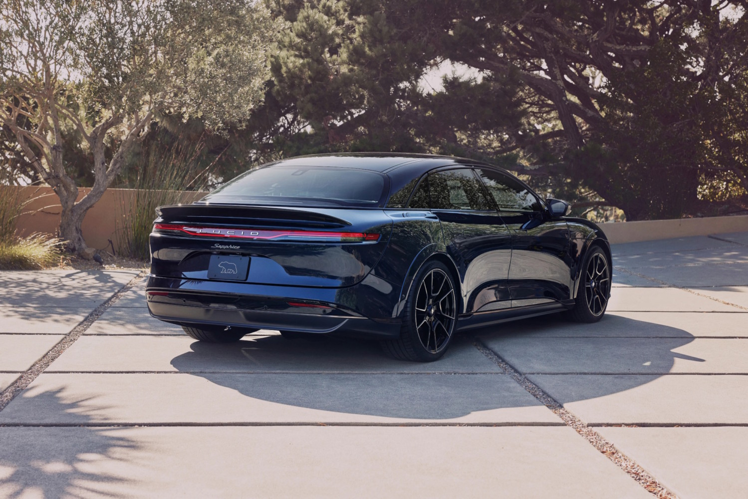 Lucid Air (Rear) Lucid Air (Rear)